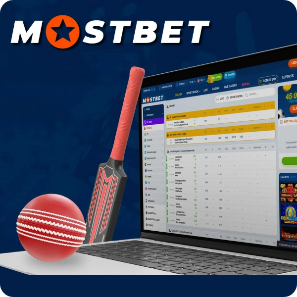 Betting Online on the Website